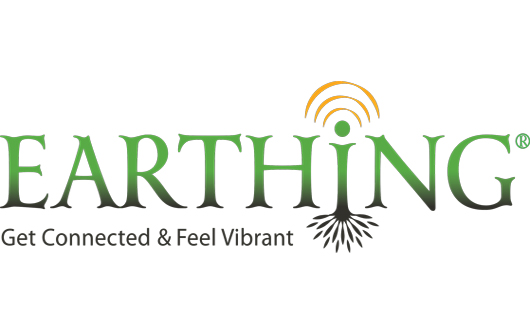 Earthing, top 10 online shopping sites , 10 Best Online Stores, 10 Best Online Stores of Multi-Categories,