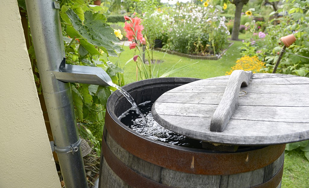 The Best Rain Barrels You Can Collect Water When Raining