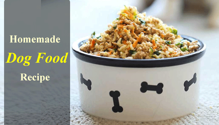 10 Easy Homemade Dog Food Recipe That Improves... | Saving Gain