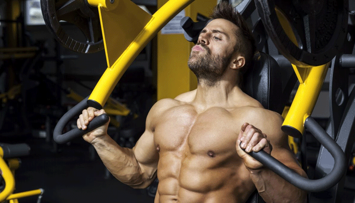 The Best Gym Equipment for Building Muscle