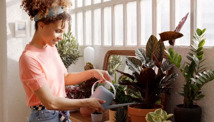 The Best Indoor Plant Pots: A Comprehensive Review